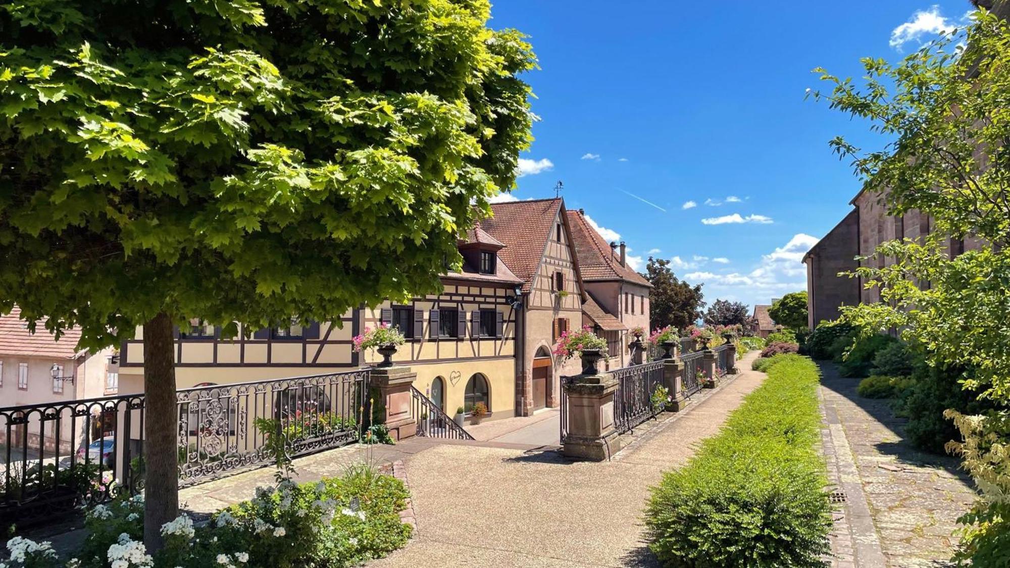 Appartements Duplex 3 Et 4 Personnes - Climatisation - Village Elu Parmi Les "Plus Beaux Villages De France" - Route Des Vins - Centre Alsace Bergheim Ngoại thất bức ảnh