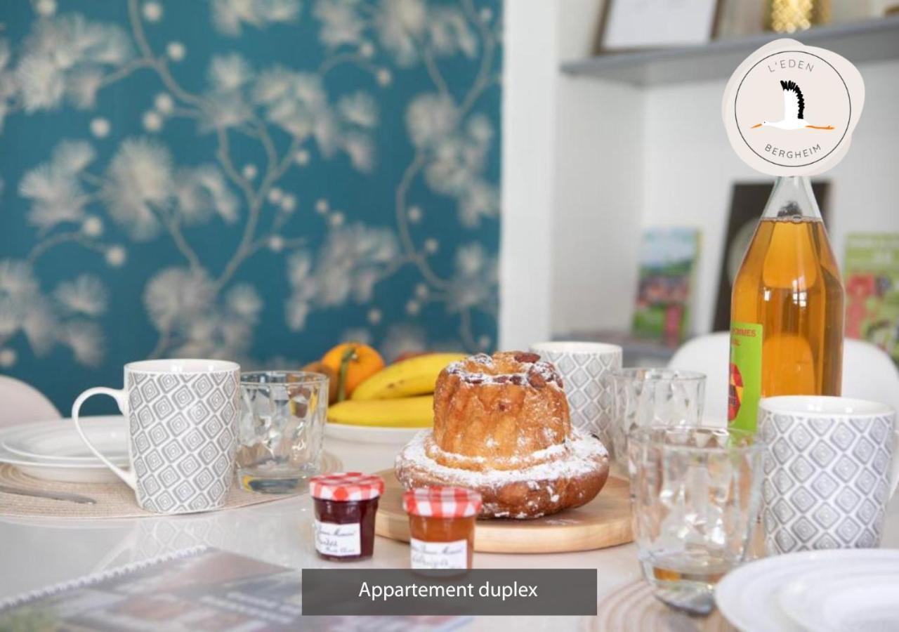 Appartements Duplex 3 Et 4 Personnes - Climatisation - Village Elu Parmi Les "Plus Beaux Villages De France" - Route Des Vins - Centre Alsace Bergheim Ngoại thất bức ảnh