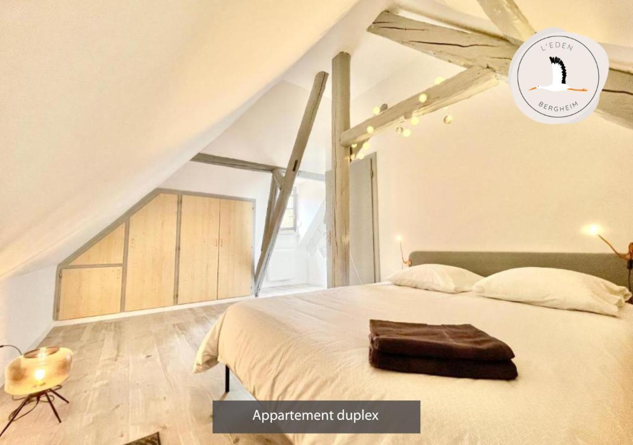 Appartements Duplex 3 Et 4 Personnes - Climatisation - Village Elu Parmi Les "Plus Beaux Villages De France" - Route Des Vins - Centre Alsace Bergheim Ngoại thất bức ảnh