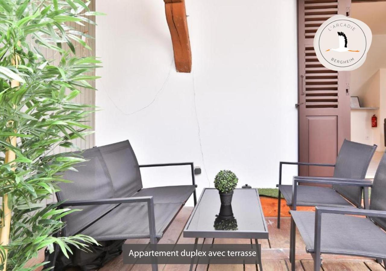 Appartements Duplex 3 Et 4 Personnes - Climatisation - Village Elu Parmi Les "Plus Beaux Villages De France" - Route Des Vins - Centre Alsace Bergheim Ngoại thất bức ảnh