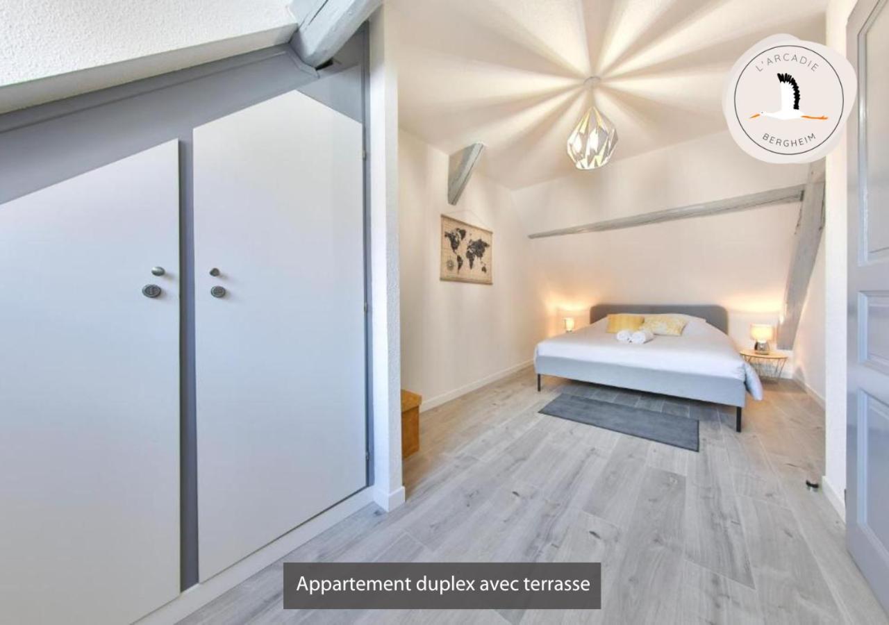 Appartements Duplex 3 Et 4 Personnes - Climatisation - Village Elu Parmi Les "Plus Beaux Villages De France" - Route Des Vins - Centre Alsace Bergheim Ngoại thất bức ảnh