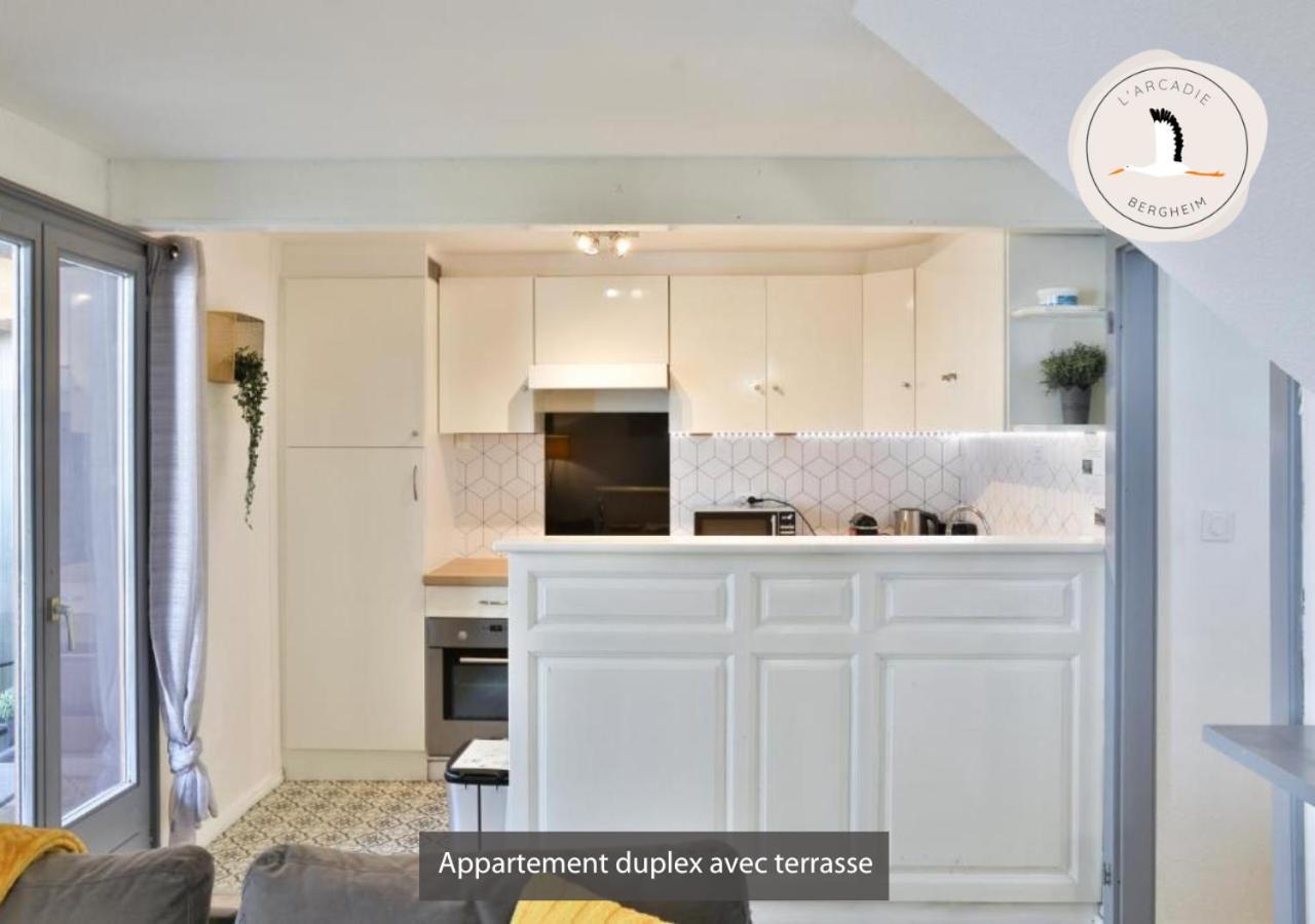 Appartements Duplex 3 Et 4 Personnes - Climatisation - Village Elu Parmi Les "Plus Beaux Villages De France" - Route Des Vins - Centre Alsace Bergheim Ngoại thất bức ảnh