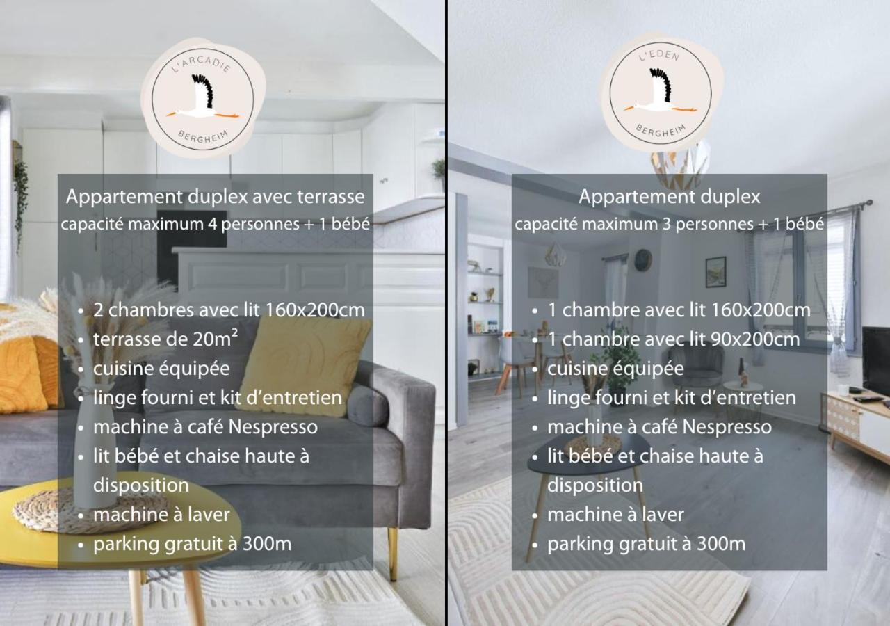 Appartements Duplex 3 Et 4 Personnes - Climatisation - Village Elu Parmi Les "Plus Beaux Villages De France" - Route Des Vins - Centre Alsace Bergheim Ngoại thất bức ảnh